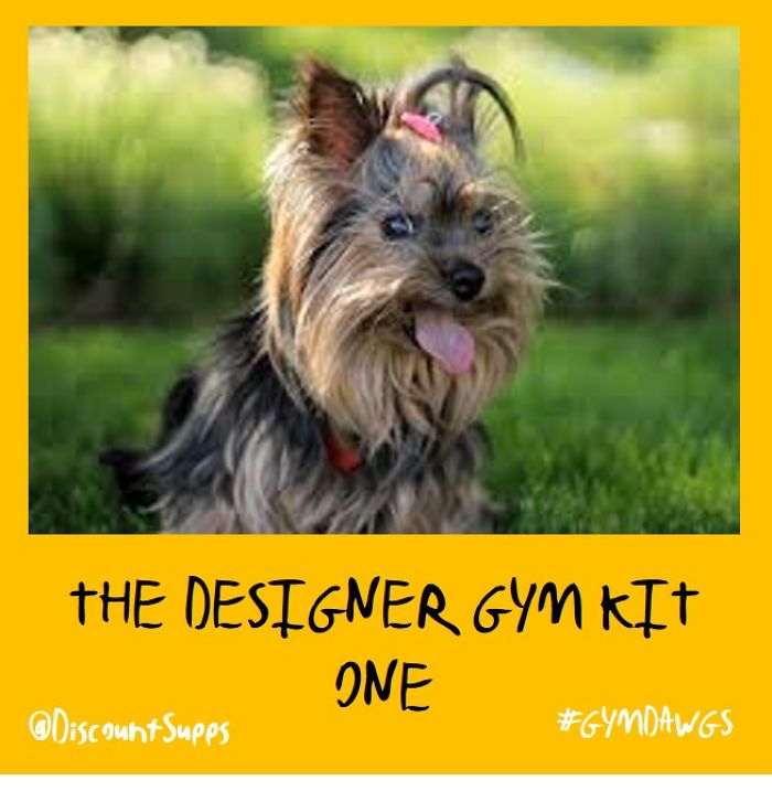 I Got Stick From These Dawgs For Joining The Gym This January I Got Stick From These Dawgs For Joining The Gym This January