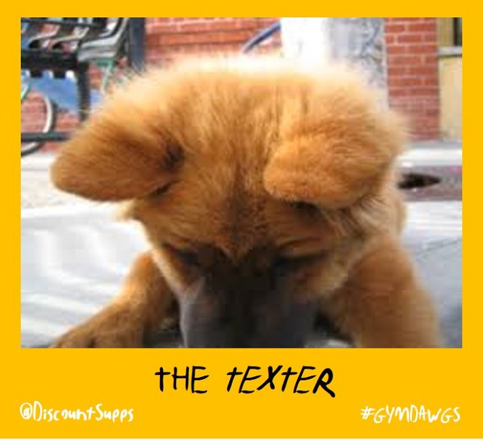 I Got Stick From These Dawgs For Joining The Gym This January