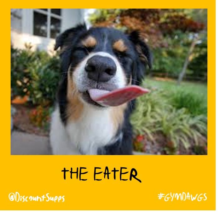 I Got Stick From These Dawgs For Joining The Gym This January I Got Stick From These Dawgs For Joining The Gym This January