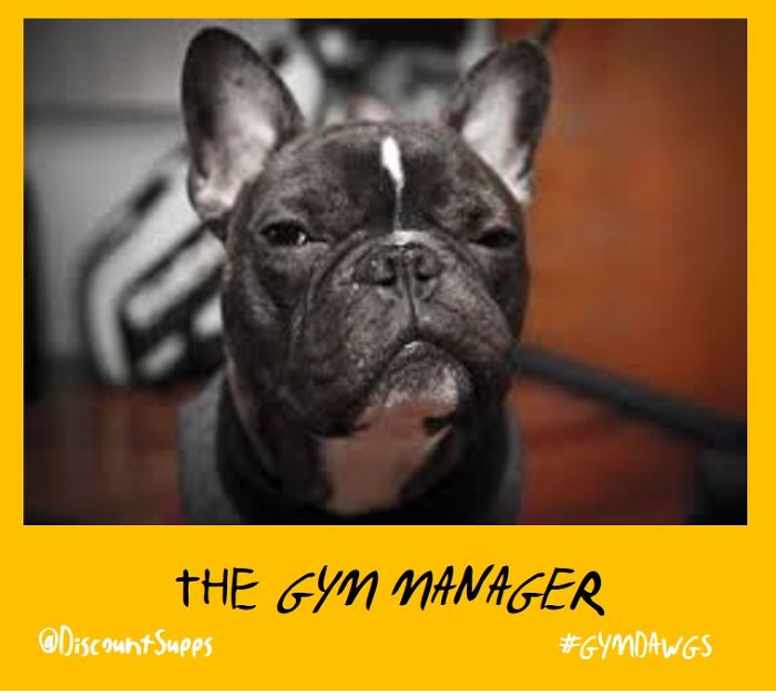 I Got Stick From These Dawgs For Joining The Gym This January I Got Stick From These Dawgs For Joining The Gym This January