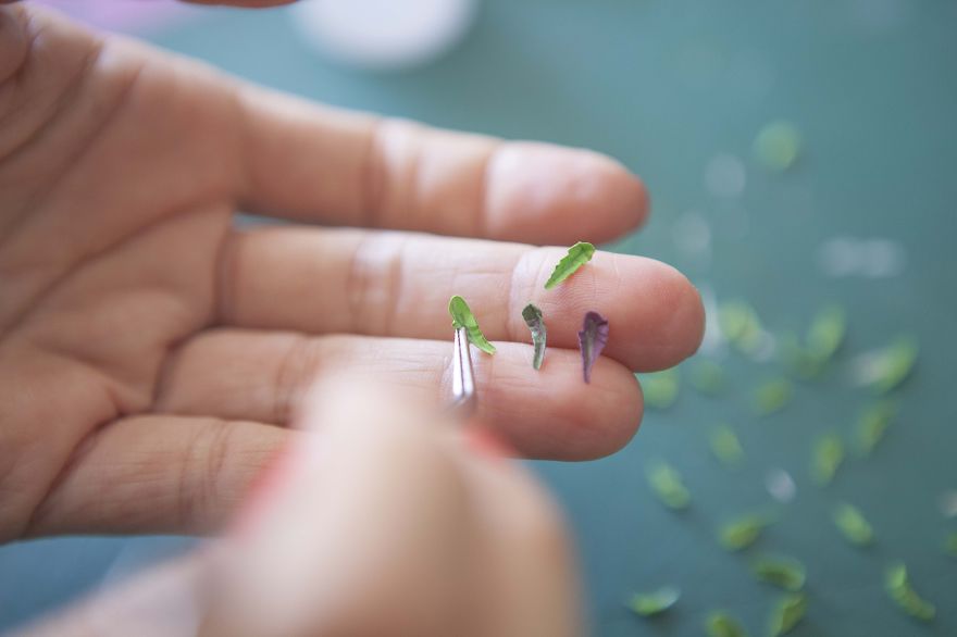 I Make Foods Out Of Paper I Make Foods Out Of Paper