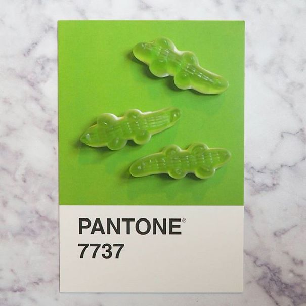 I Match Candies With Pantone Swatches And Photograph Them