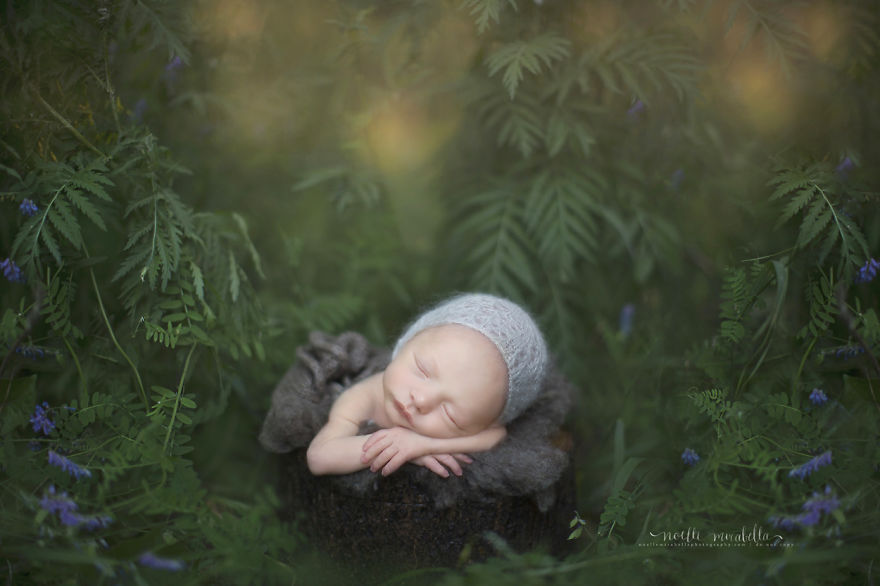 I Photograph My Children Sleeping To Portray The Wonder That They Bring Into My Life I Photograph My Children Sleeping To Portray The Wonder That They Bring Into My Life