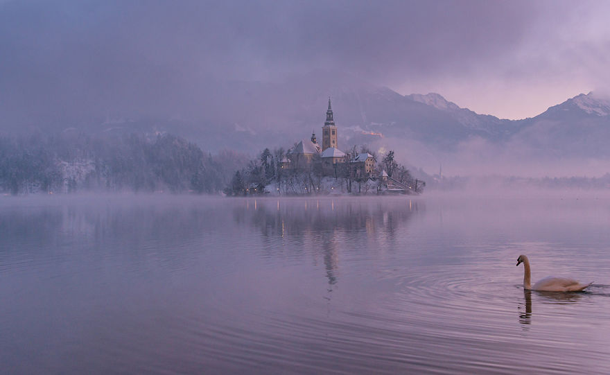 I Photographed Lake Bled On A Fairytale Winter Morning I Photographed Lake Bled On A Fairytale Winter Morning