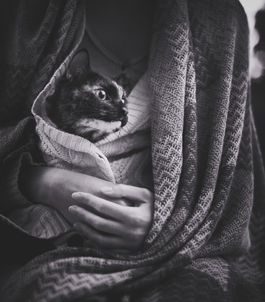 I Photographed My Cat Throughout The Seasons I Photographed My Cat Throughout The Seasons