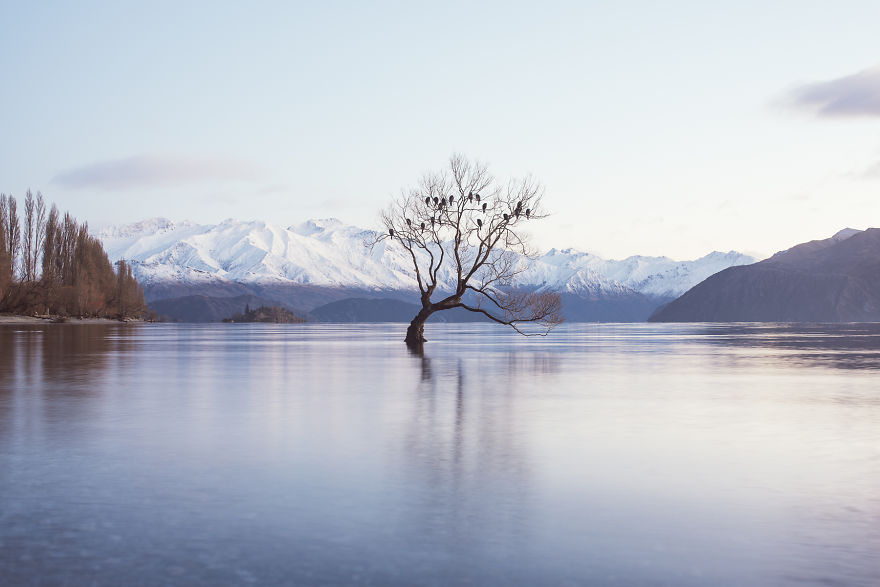 I Spent A Year Exploring New Zealand To Bring Back These Photos And It Blew My Mind