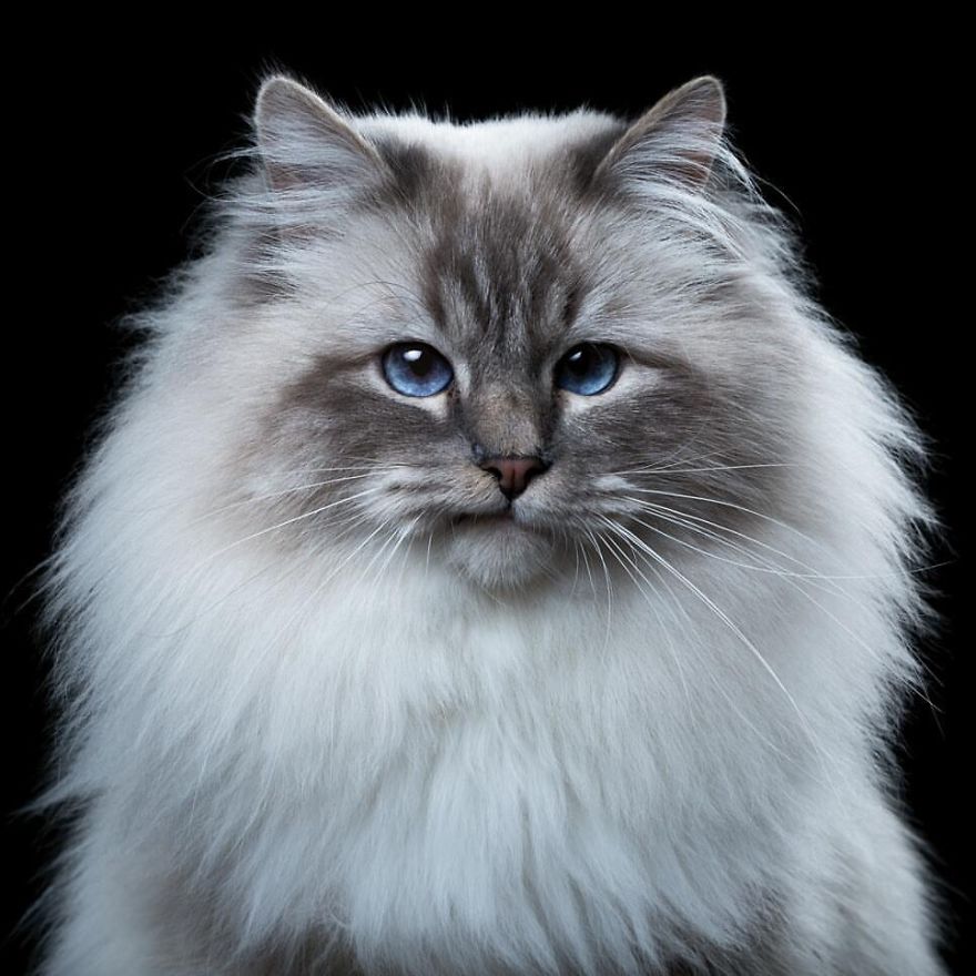 After Posting My Photo Project On Bored Panda My Work Got Popular And Now I'm Releasing A Book