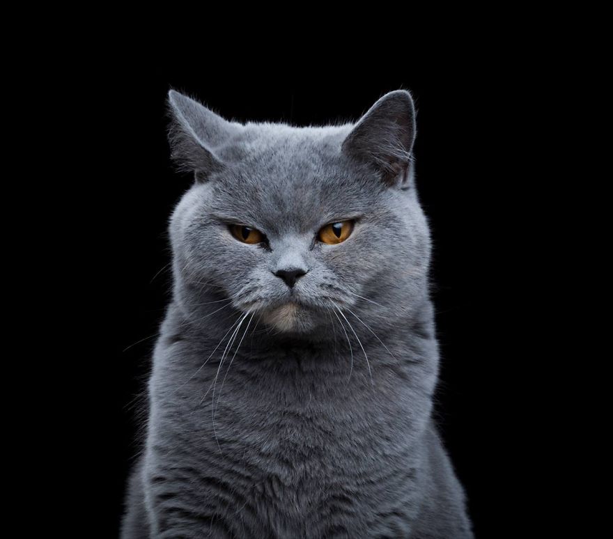 After Posting My Photo Project On Bored Panda My Work Got Popular And Now I'm Releasing A Book