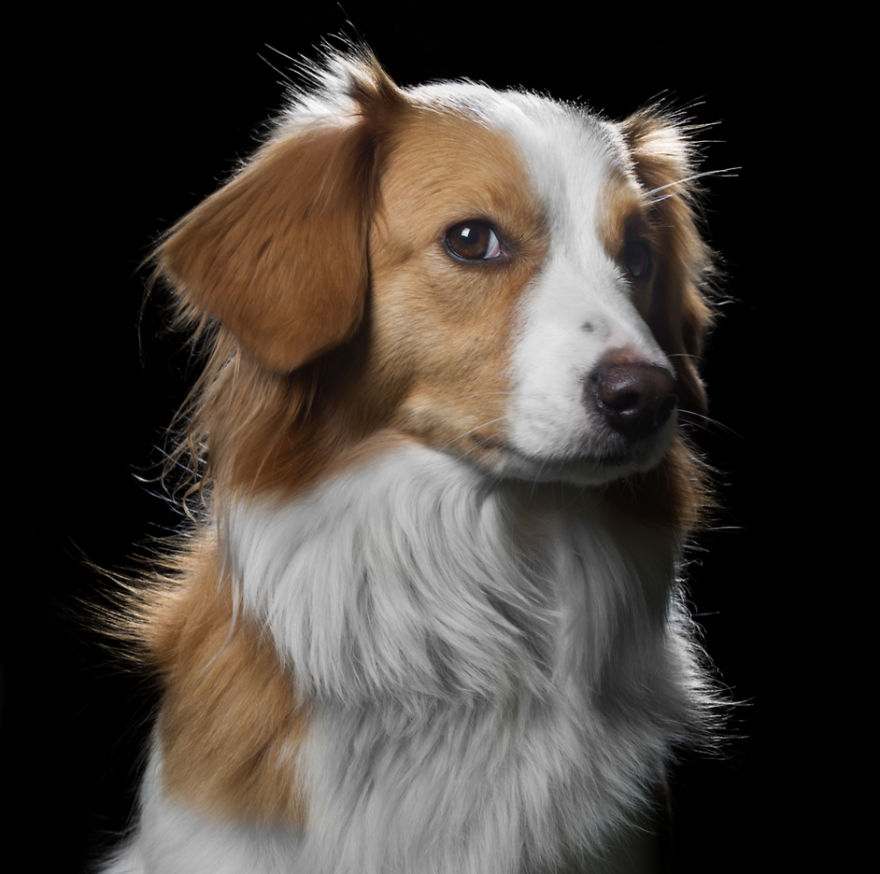 After Posting My Photo Project On Bored Panda My Work Got Popular And Now I'm Releasing A Book