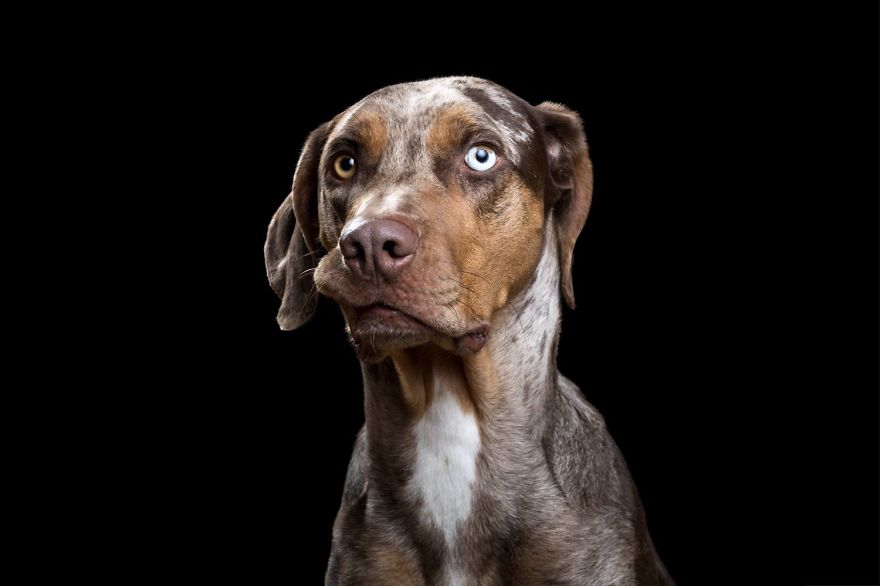 After Posting My Photo Project On Bored Panda My Work Got Popular And Now I'm Releasing A Book After Posting My Photo Project On Bored Panda My Work Got Popular And Now I'm Releasing A Book