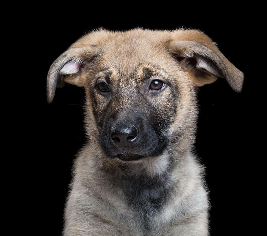 After Posting My Photo Project On Bored Panda My Work Got Popular And Now I'm Releasing A Book