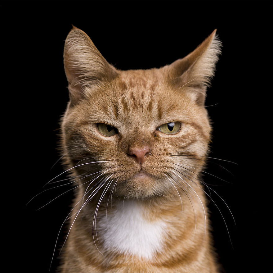 After Posting My Photo Project On Bored Panda My Work Got Popular And Now I'm Releasing A Book