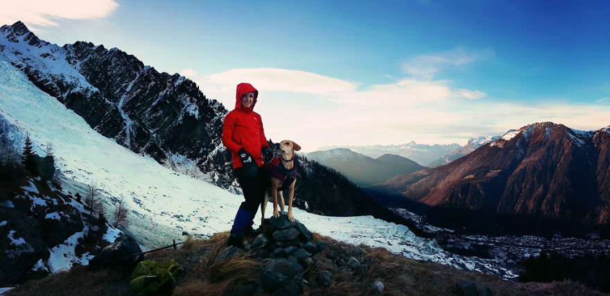 I Tested The Theory That Dogs Cover Double The Distance Their Owners Do When Out Walking I Tested The Theory That Dogs Cover Double The Distance Their Owners Do When Out Walking