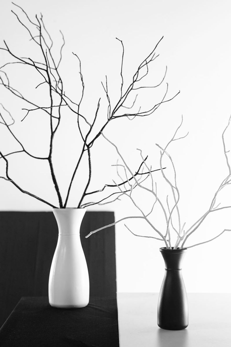 I Threw A Black And White Party! I Threw A Black And White Party!