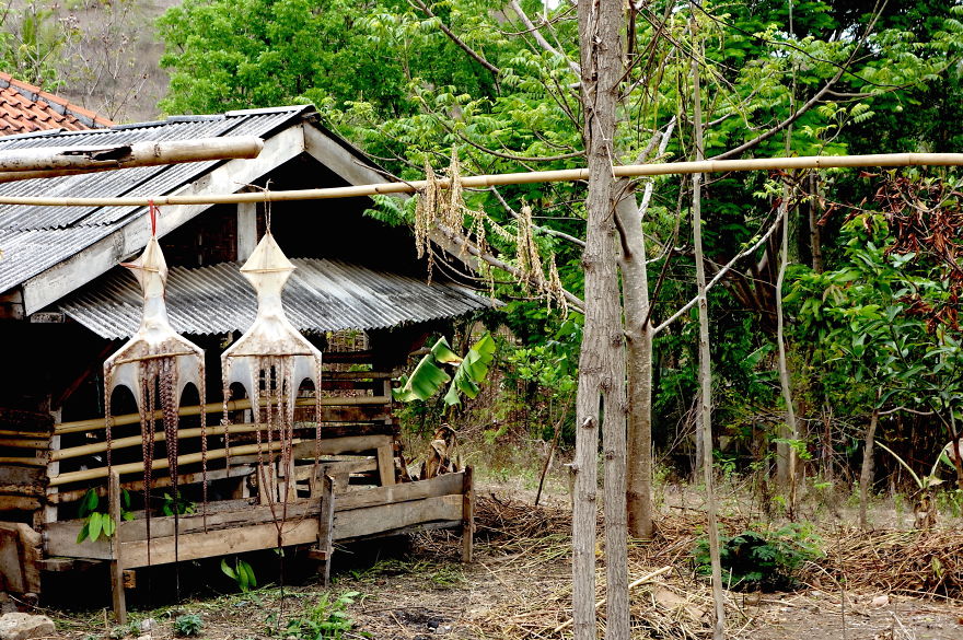 I Traveled Southeast Asia And Filmed Locals Cooking Their Traditional Meals