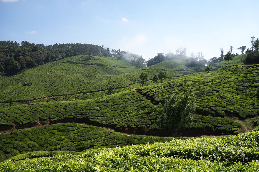 I Traveled Southeast Asia And Filmed Locals Cooking Their Traditional Meals I Traveled Southeast Asia And Filmed Locals Cooking Their Traditional Meals