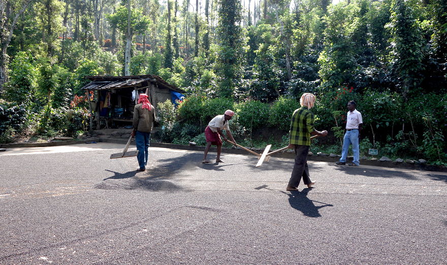 I Traveled Southeast Asia And Filmed Locals Cooking Their Traditional Meals