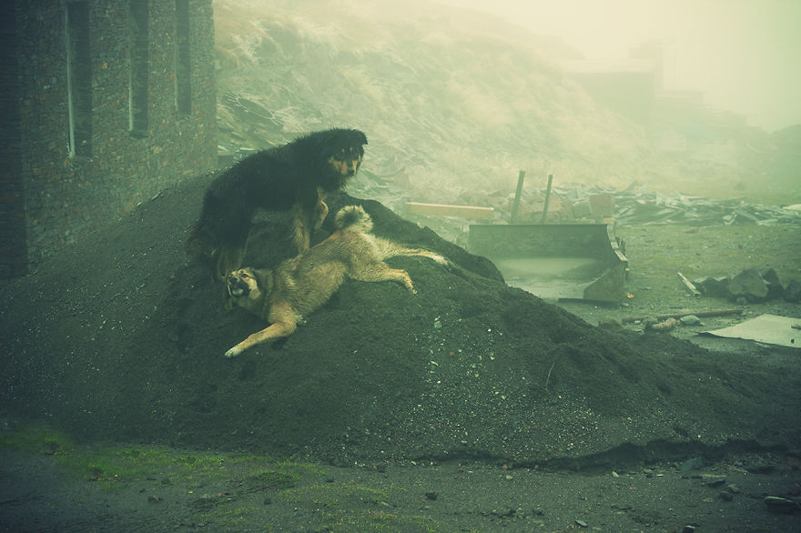 I Traveled To Georgia To Show It As It Is I Traveled To Georgia To Show It As It Is