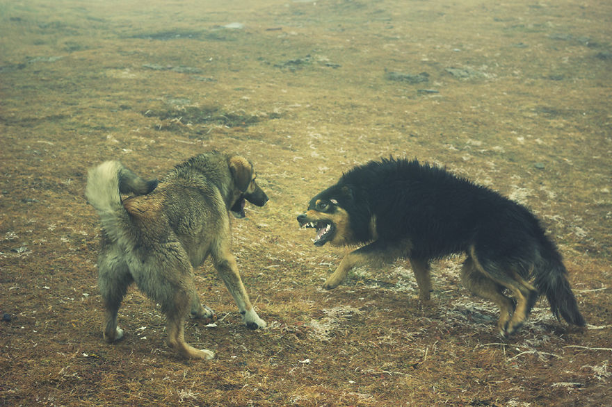 I Traveled To Georgia To Show It As It Is I Traveled To Georgia To Show It As It Is