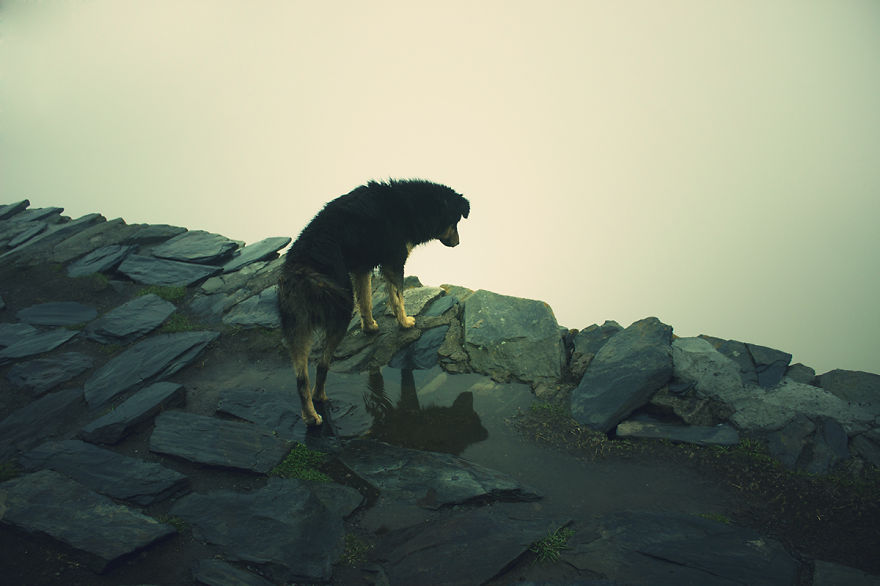 I Traveled To Georgia To Show It As It Is I Traveled To Georgia To Show It As It Is