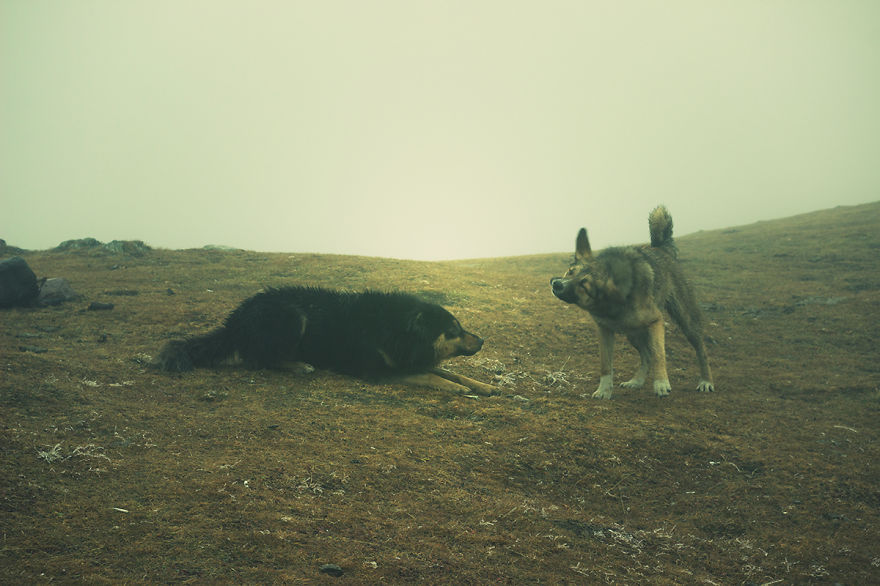 I Traveled To Georgia To Show It As It Is I Traveled To Georgia To Show It As It Is