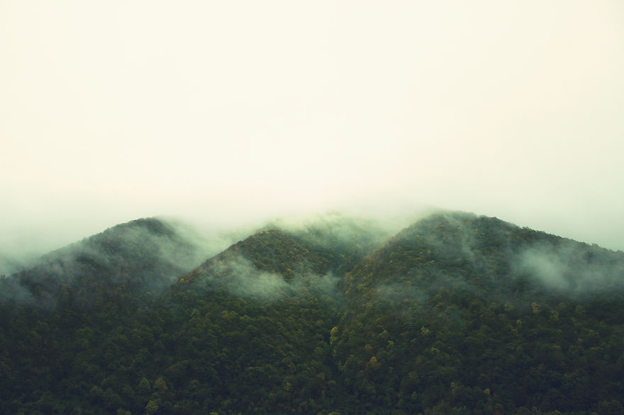 I Traveled To Georgia To Show It As It Is I Traveled To Georgia To Show It As It Is