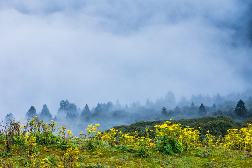 I Traveled To Nepal Before, During, And After The Earthquake, And You Should Come There In 2016