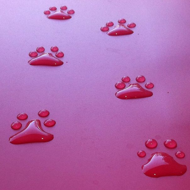 I Turn Water Into Art I Turn Water Into Art