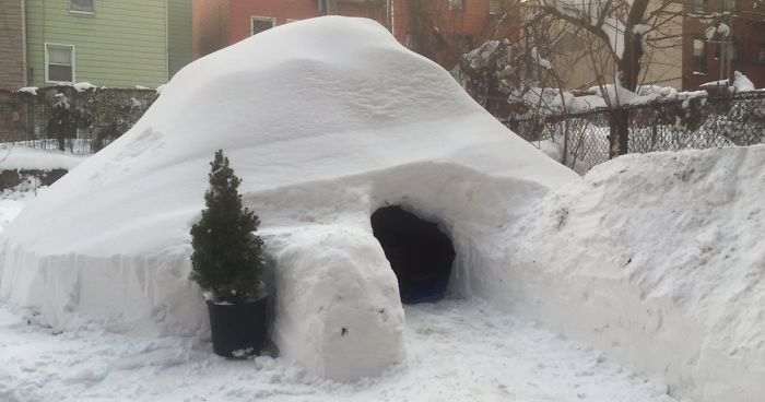 Man Builds Igloo In Brooklyn During Blizzard, Lists It On Airbnb For $200