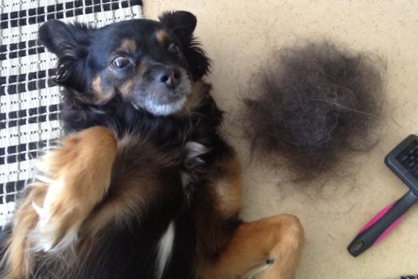 "human! How Dare You!?!"