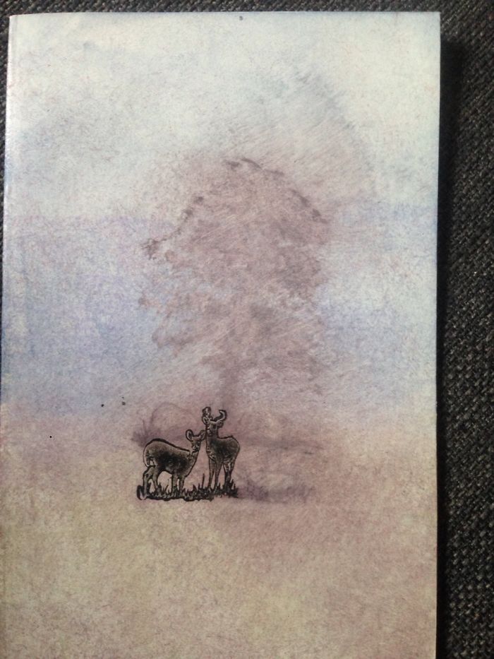 I'm Twelve And I Make Greeting Cards