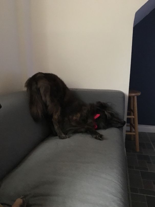 Just Passed Out And Too Tired To Lay The Butt Down