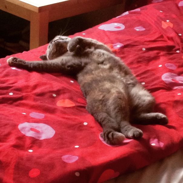 Monday Morning Feeling