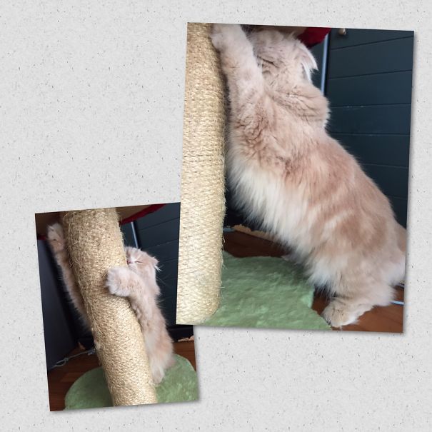 Scratch-pad = Zzz Pad