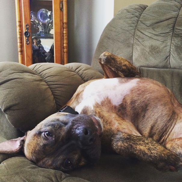 Is This Comfortable?