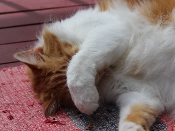 Turn That Light Out!