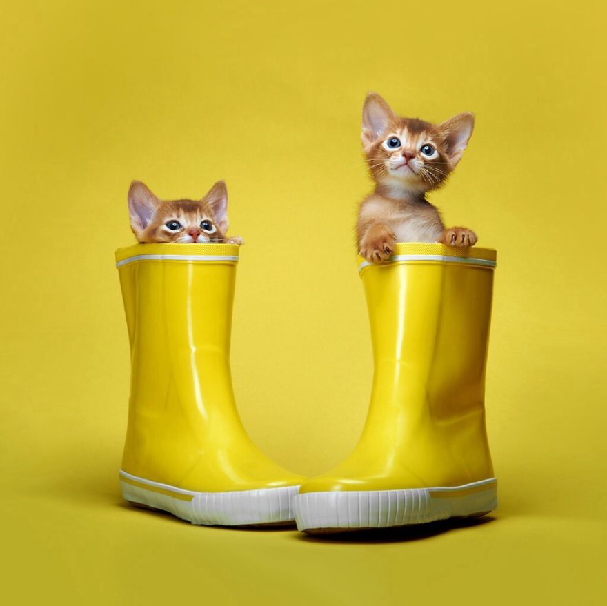 These Are Our Boots Now