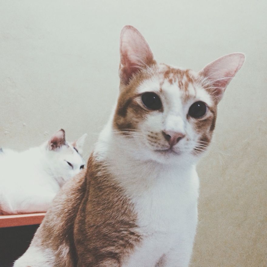 He's Facial Expression Of "what Do You Mean?"