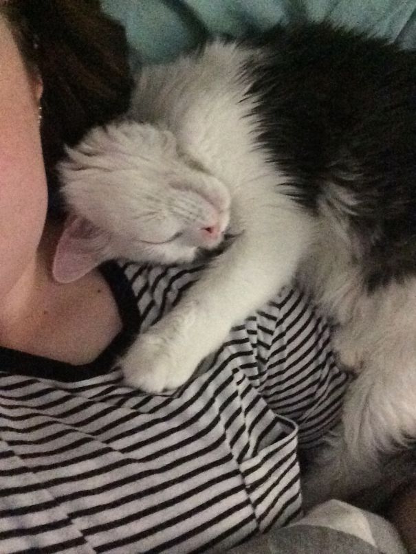 He Either Sleeps Here Or On Top Of My Head