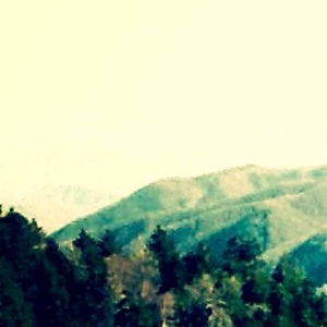 scripterlaurenp avatar