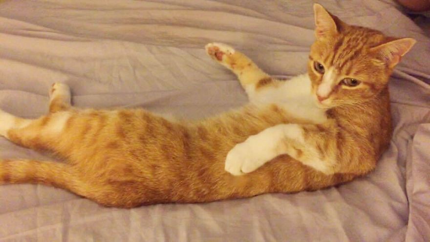 Paint Me Like One Of Your French Girls