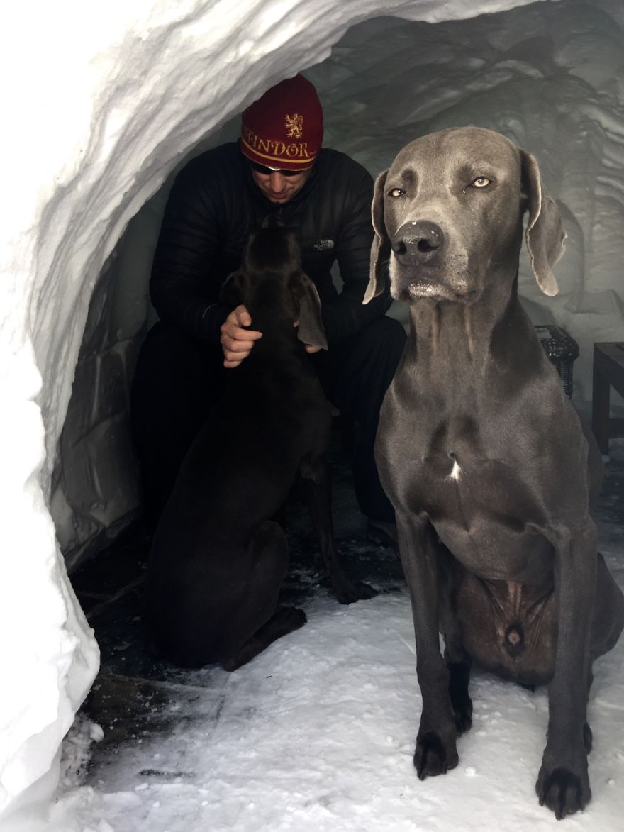 I Dare You To Come In. Hoth Base - North Potomac, Md