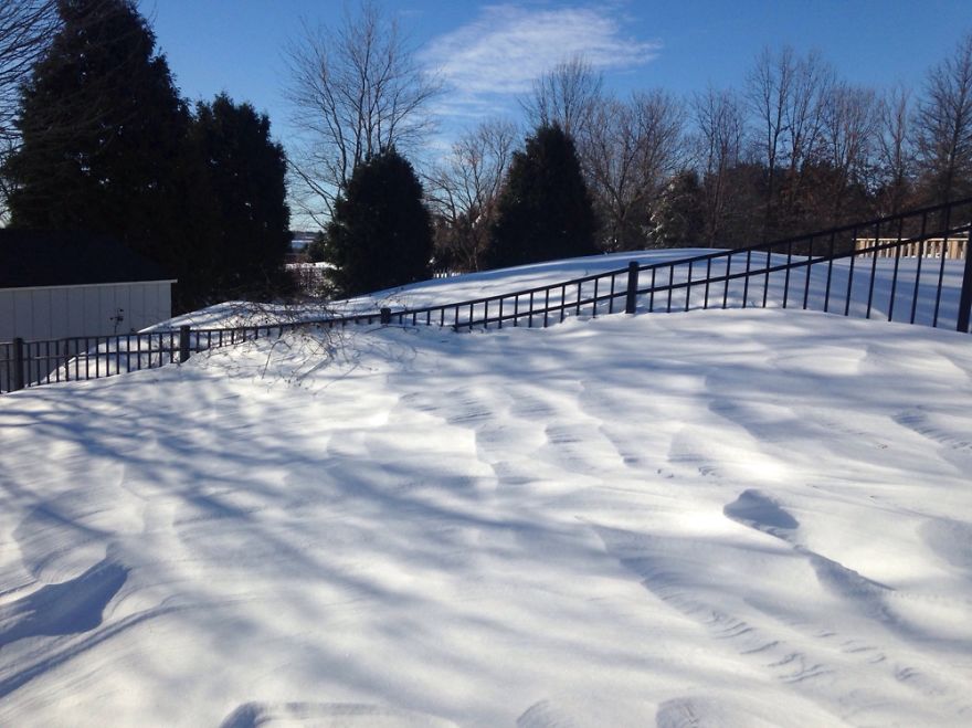 Cars Covered. Dig Your Way Out The Doors. Hey You Can Go Over The Fence Pretty Easy Now.