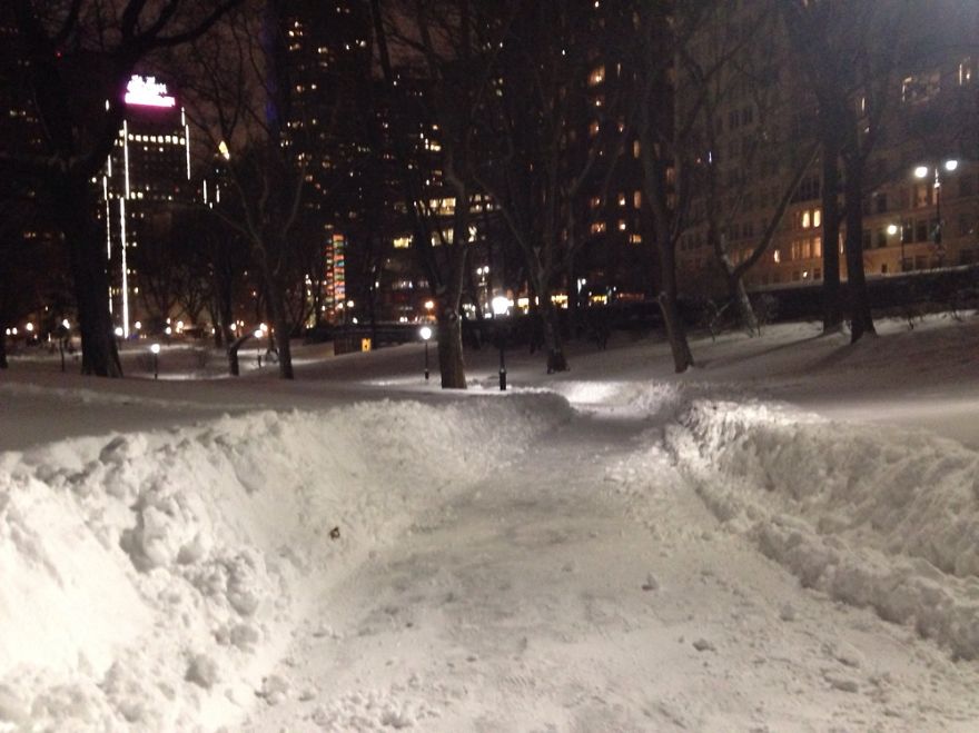 Walkway In Central Park, Nyc