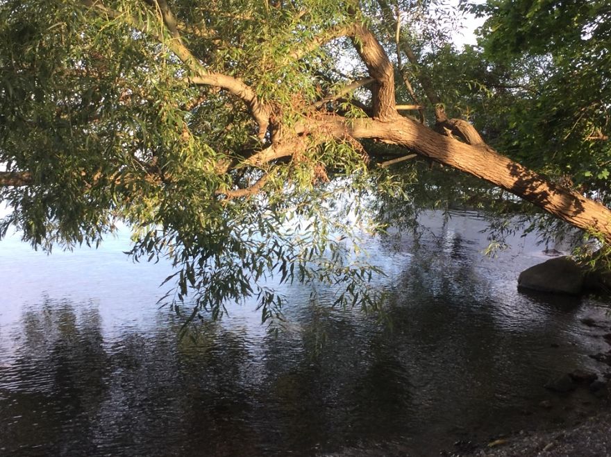 Somewhere On Earth....