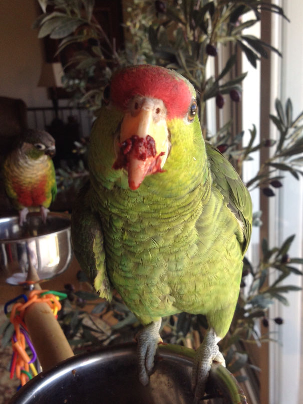 When One Kid Loves What You Made But The Other One Is Suspicious.