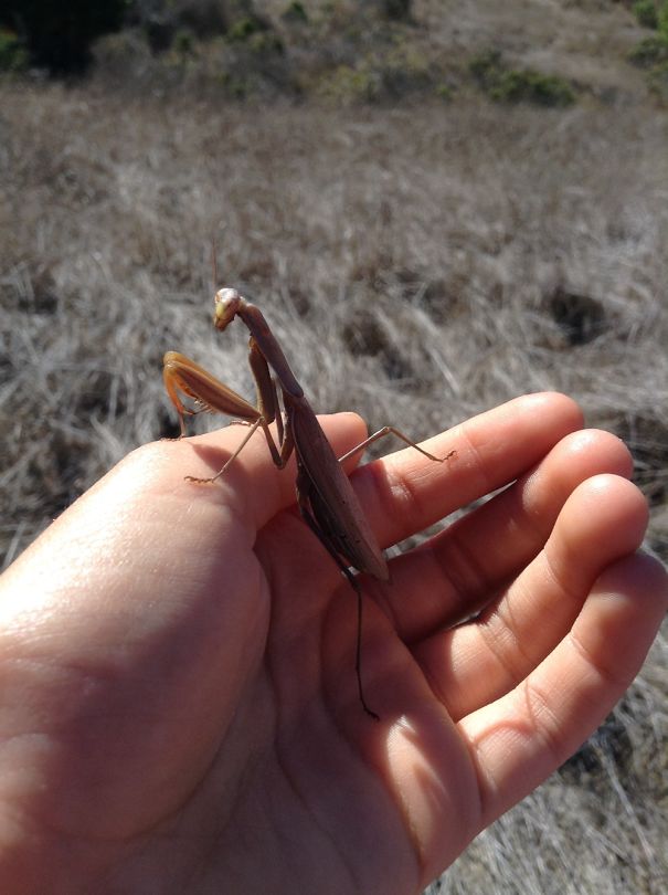 I Saw Boys About To Step On This Guy. Not Okay With Me.