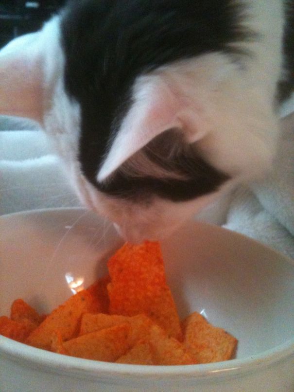 Mmmmm...doritos