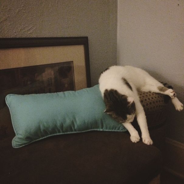 Sleep On All The Things At Once