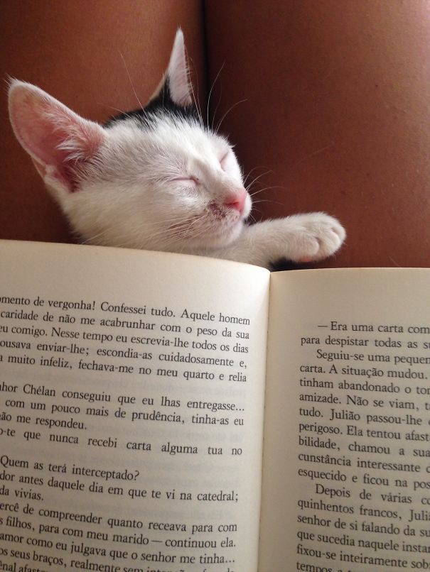 I Just Wait Till You Finish That Chapter.